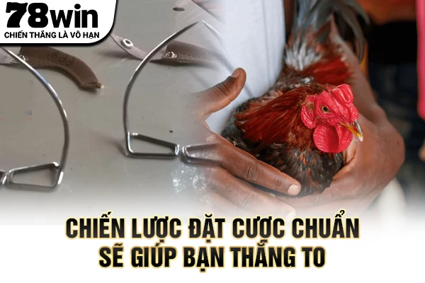 Chiến lược đặt cược chuẩn sẽ giúp bạn thắng to