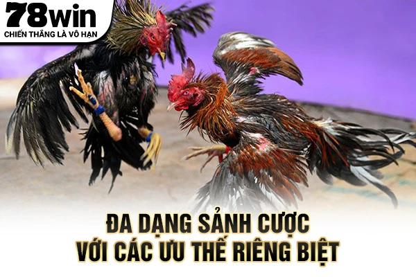 Đa dạng sảnh cược với các ưu thế riêng biệt
