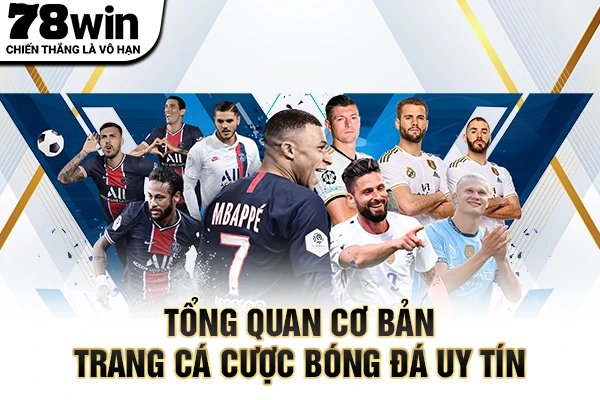 Tổng quan cơ bản trang cá cược bóng đá uy tín